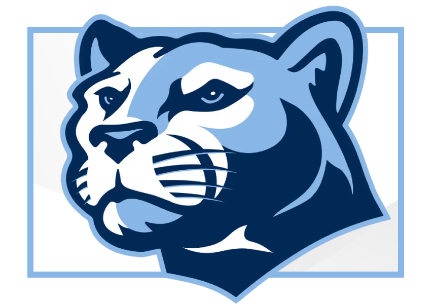 head of a cougar illustration
